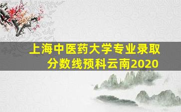 上海中医药大学专业录取分数线预科云南2020