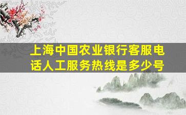 上海中国农业银行客服电话人工服务热线是多少号