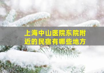 上海中山医院东院附近的民宿有哪些地方