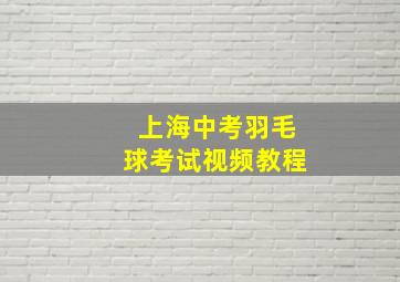 上海中考羽毛球考试视频教程