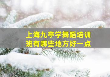 上海九亭学舞蹈培训班有哪些地方好一点