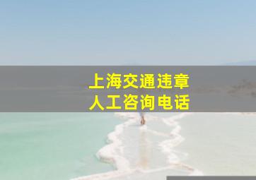 上海交通违章人工咨询电话