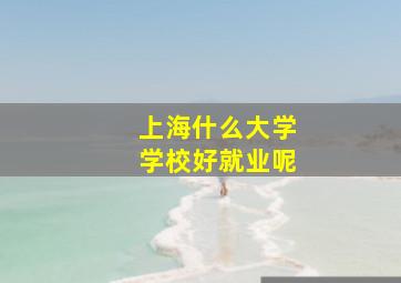 上海什么大学学校好就业呢