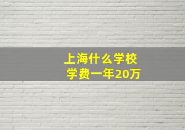 上海什么学校学费一年20万