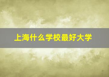 上海什么学校最好大学