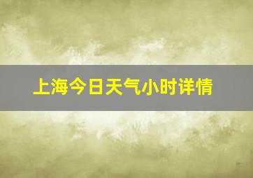 上海今日天气小时详情