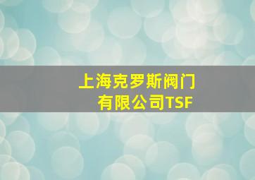 上海克罗斯阀门有限公司TSF