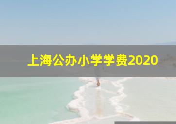 上海公办小学学费2020