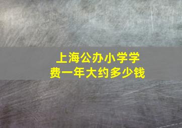 上海公办小学学费一年大约多少钱