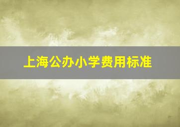 上海公办小学费用标准