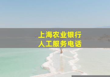 上海农业银行人工服务电话