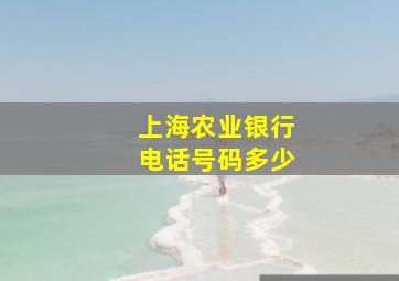 上海农业银行电话号码多少