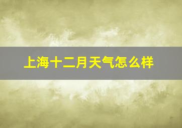 上海十二月天气怎么样