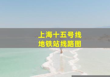 上海十五号线地铁站线路图