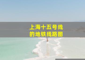 上海十五号线的地铁线路图