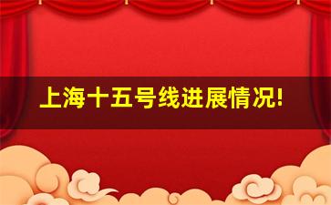 上海十五号线进展情况!