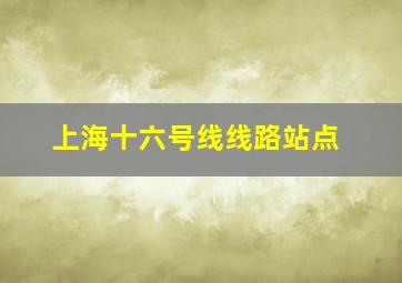 上海十六号线线路站点