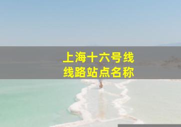 上海十六号线线路站点名称