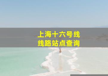 上海十六号线线路站点查询