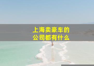 上海卖豪车的公司都有什么