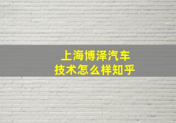 上海博泽汽车技术怎么样知乎