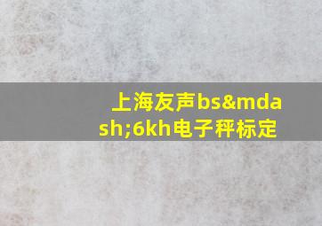 上海友声bs—6kh电子秤标定