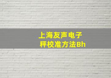 上海友声电子秤校准方法Bh