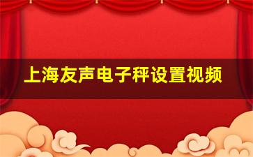 上海友声电子秤设置视频