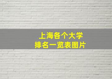 上海各个大学排名一览表图片