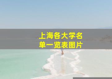 上海各大学名单一览表图片