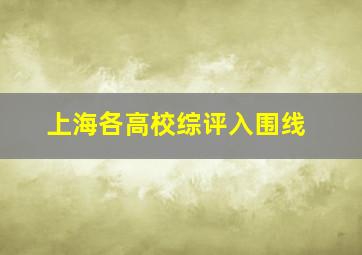 上海各高校综评入围线