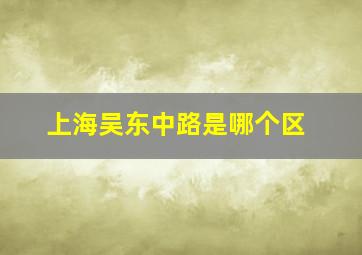 上海吴东中路是哪个区