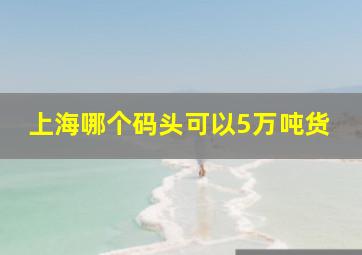 上海哪个码头可以5万吨货