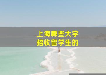 上海哪些大学招收留学生的