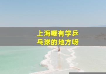 上海哪有学乒乓球的地方呀