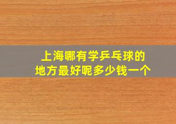 上海哪有学乒乓球的地方最好呢多少钱一个