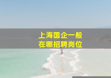 上海国企一般在哪招聘岗位