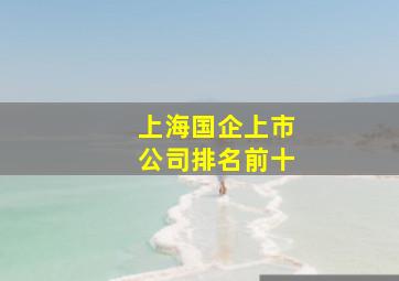 上海国企上市公司排名前十