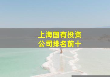 上海国有投资公司排名前十