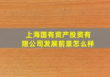 上海国有资产投资有限公司发展前景怎么样