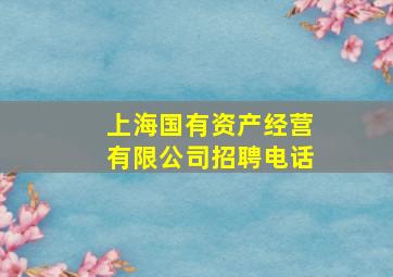 上海国有资产经营有限公司招聘电话