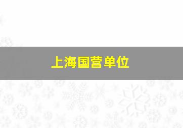 上海国营单位