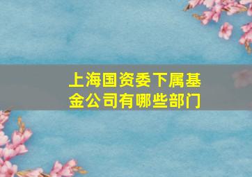 上海国资委下属基金公司有哪些部门