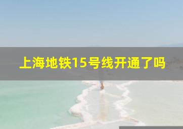 上海地铁15号线开通了吗