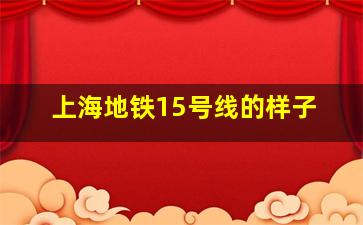 上海地铁15号线的样子