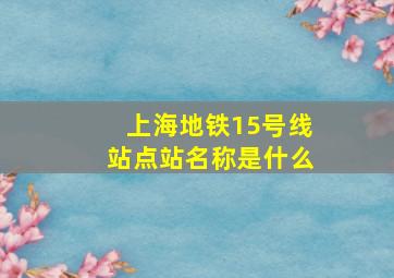 上海地铁15号线站点站名称是什么