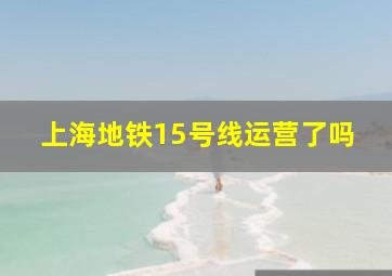 上海地铁15号线运营了吗