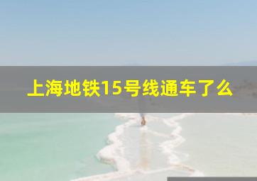 上海地铁15号线通车了么