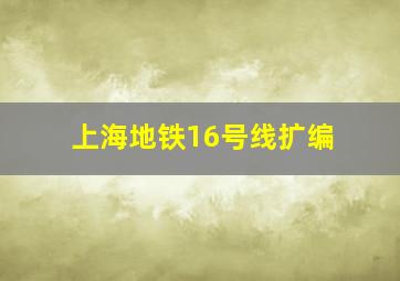 上海地铁16号线扩编