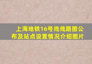 上海地铁16号线线路图公布及站点设置情况介绍图片